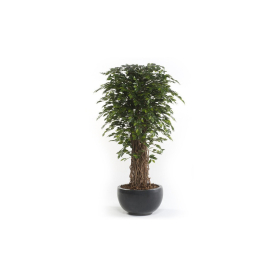 Árbol artificial Ficus Deluxe referencia 1802001