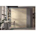 Dormitorio juvenil camas abatibles F-255|Glicerio